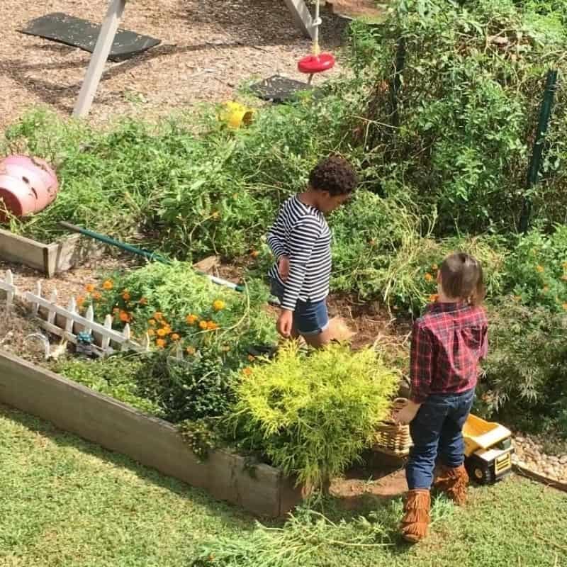 Earth Day Photo